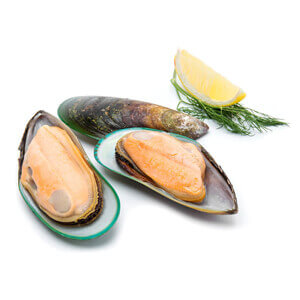 Frozen Half Shell Mussels